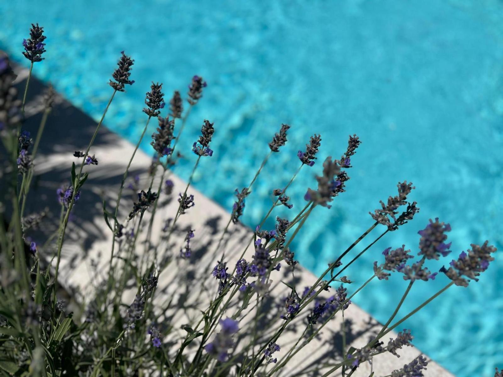 Apartments And Rooms Matesa Vodice Zewnętrze zdjęcie